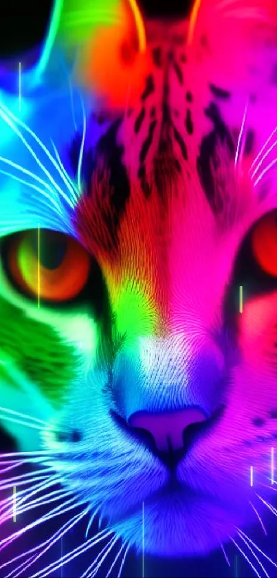 Vibrant neon cat wallpaper in rainbow colors for mobile phones.