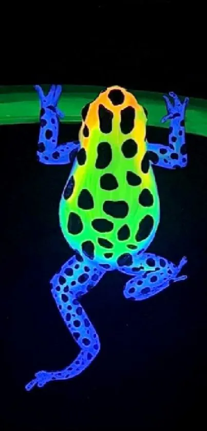 Neon frog on a dark background with vibrant colors.