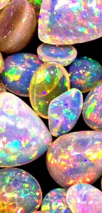 Colorful opal gemstones with a rainbow shimmer.