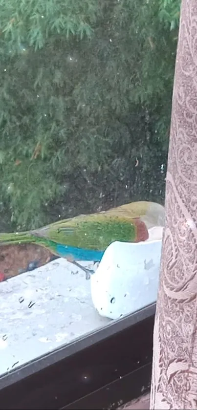 Parrot perched on a windowsill with greenery in the background.