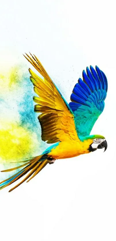 A vibrant parrot in flight on a white background.