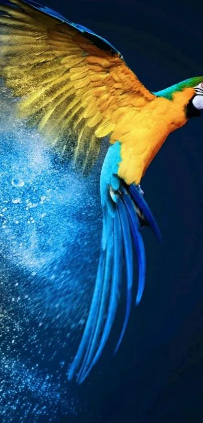 Colorful parrot in flight mobile wallpaper.