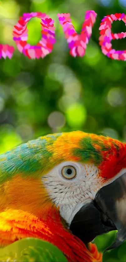 Vibrant parrot with pink 'Love' text and green background.