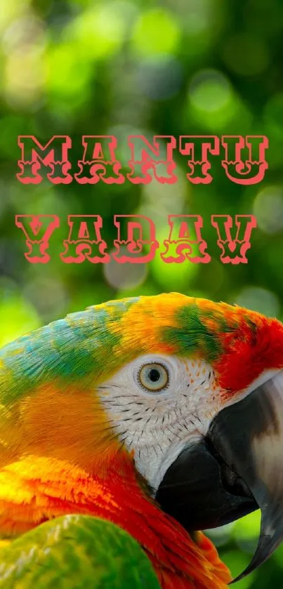 Colorful parrot with a vibrant green background.