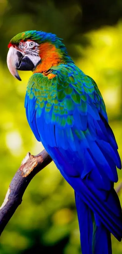 Colorful parrot perched with vibrant green and blue feathers in nature.