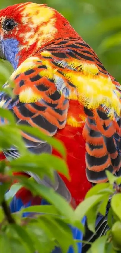 Colorful parrot perched among vibrant green leaves.