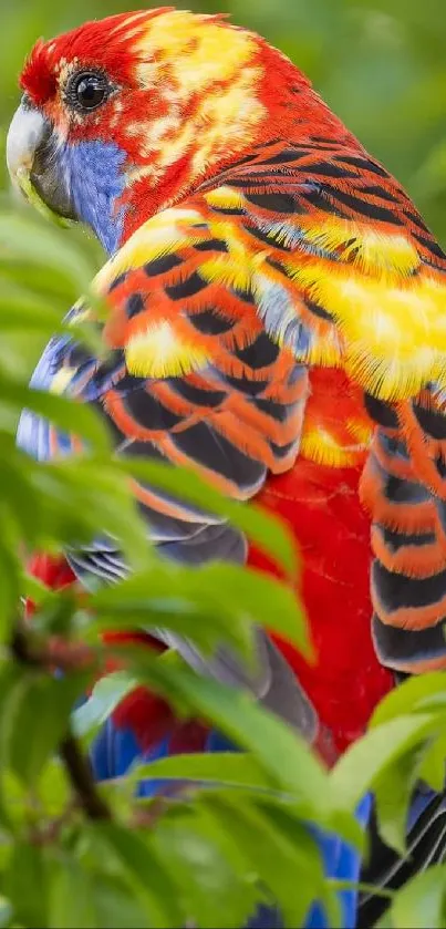 A colorful parrot in lush green foliage, perfect for a vibrant mobile wallpaper.