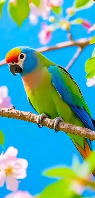 Colorful parrot on a blossoming branch with blue sky.