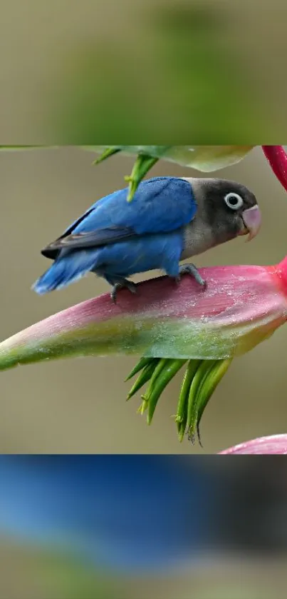 Blue parrot sits on a vivid tropical flower in a nature setting.