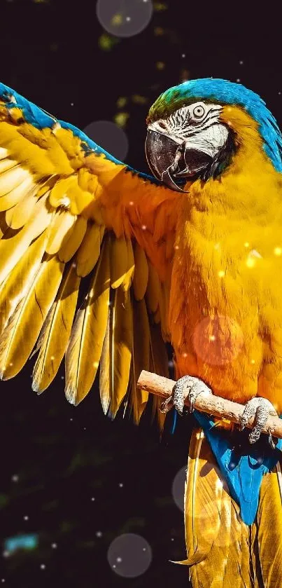 A colorful macaw with open wings and vivid blue and yellow feathers perched gracefully.