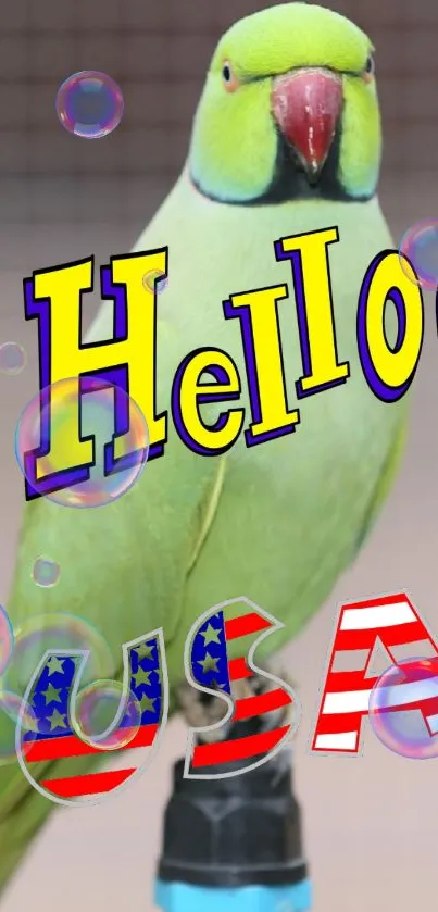 Green parrot with 'Hello USA' text and colorful bubbles on a mobile wallpaper.