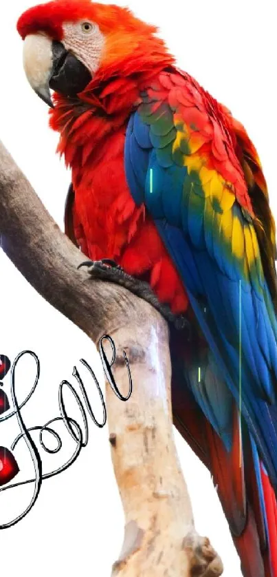 Colorful parrot with love-themed art on a branch, perfect for wallpapers.