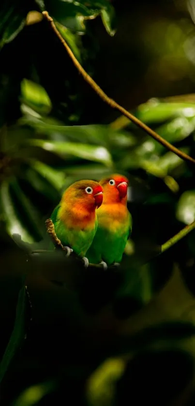 Two colorful parrots perched in lush green foliage.