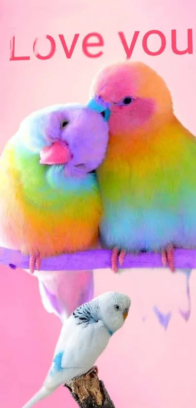 Colorful parrots with love message on a pink background.