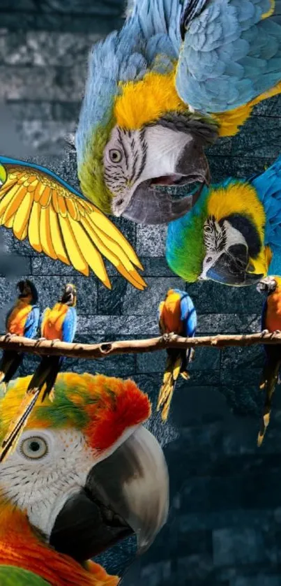 Vibrant blue and yellow parrots in a dynamic mobile wallpaper.