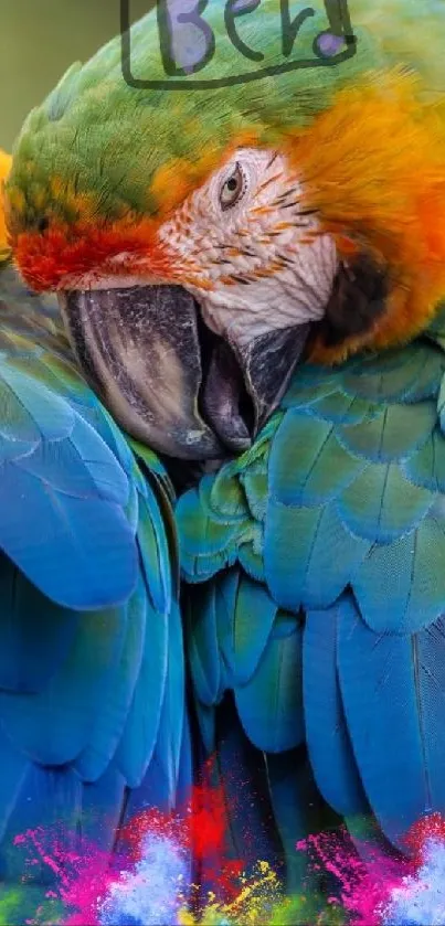 Two colorful parrots cuddling with vibrant feathers and lush background.
