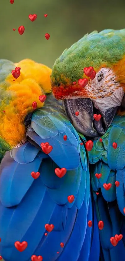 Two colorful parrots with vibrant blue and green plumage perched closely.