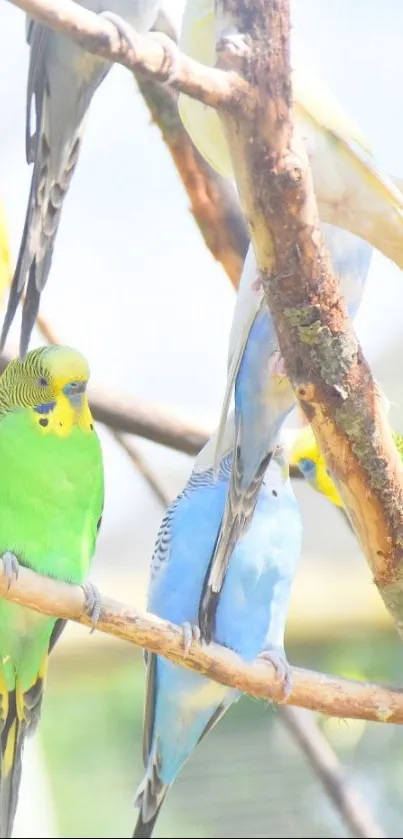 Vibrant wallpaper of colorful parrots on branches.