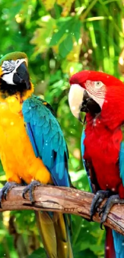 Two colorful parrots on a branch with lush green background.