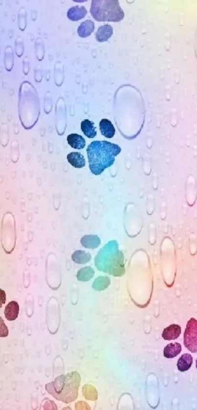 Rainbow paw print wallpaper with water droplets on a pastel background.