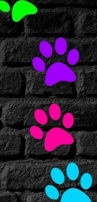 Colorful neon paw prints on black brick wall background.