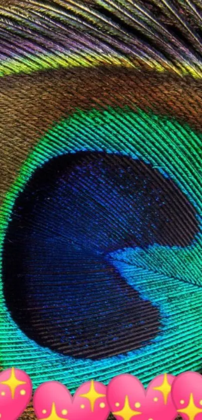 Close-up of a colorful peacock feather with heart designs on a mobile wallpaper.