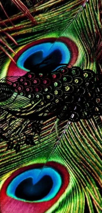 Colorful peacock feather wallpaper with vibrant patterns.