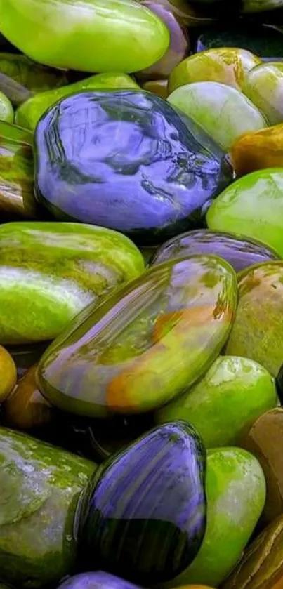 Colorful pebbles forming a natural art design in vibrant greens and blues.