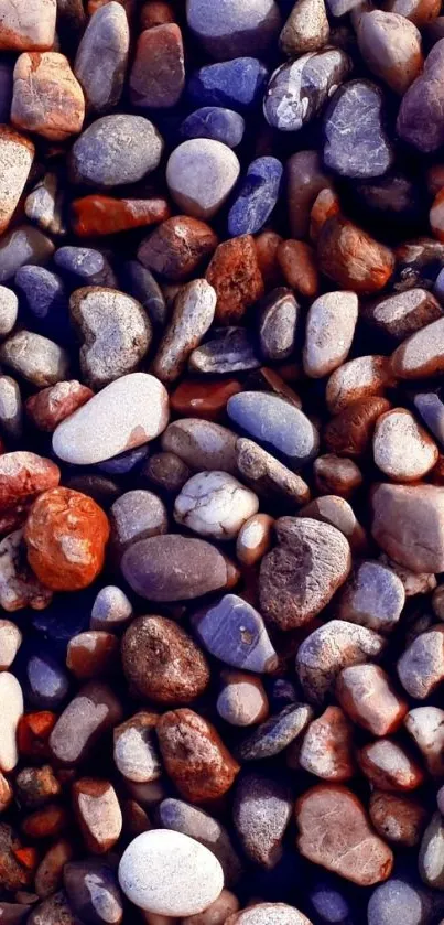 Vibrant colorful pebbles mobile wallpaper.