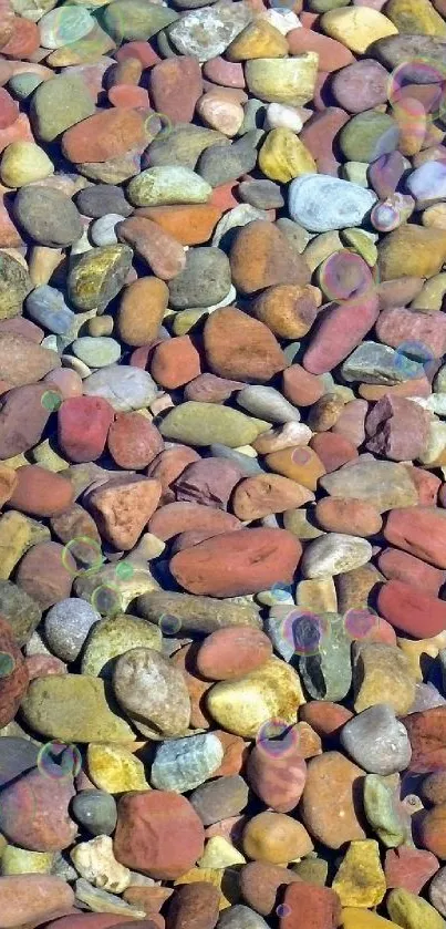 Colorful pebbles visible through clear water, creating a serene, natural pattern.