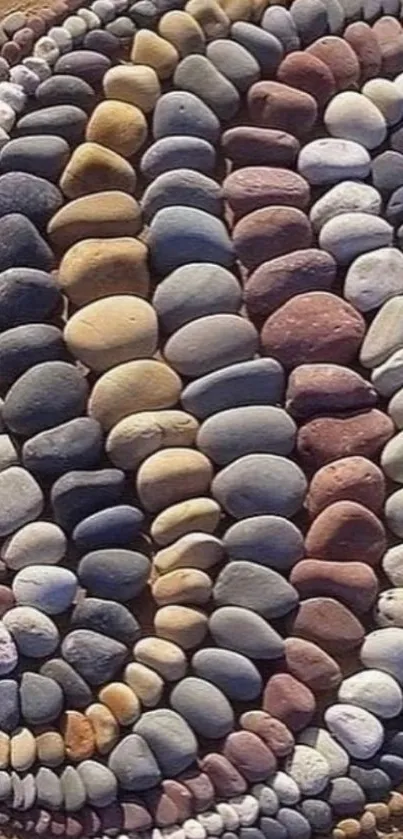 Aesthetic arrangement of colorful pebbles forming a unique pattern.