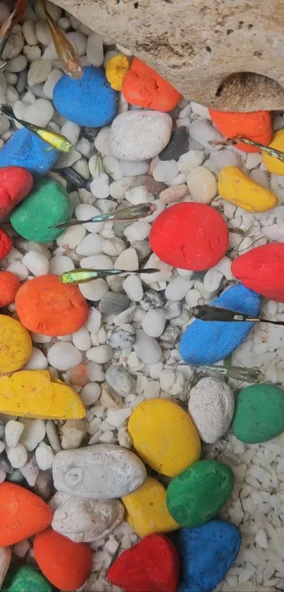 Underwater view of colorful pebbles and stones.