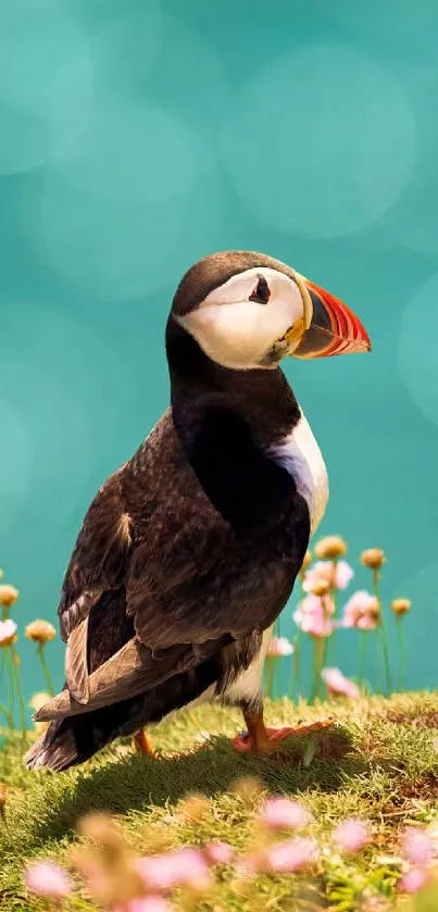 Vibrant puffin with turquoise background and wildflowers.