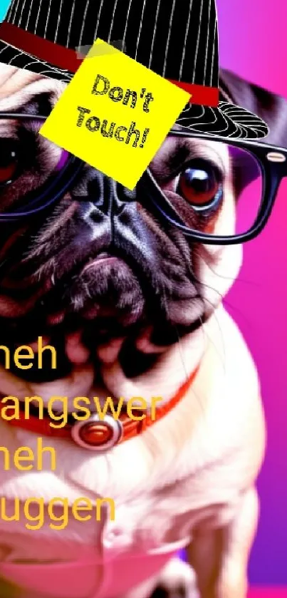 Quirky pug in glasses with a hat, colorful background.
