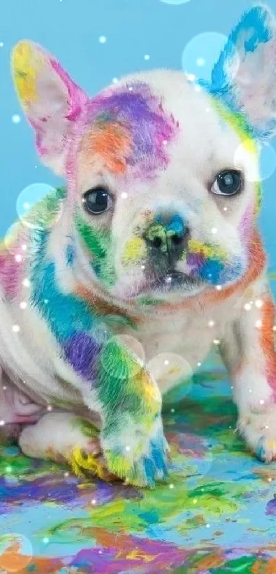 Adorable bulldog puppy with colorful paint on a blue background.