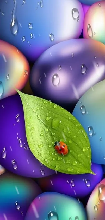 Colorful eggs with raindrops and a green leaf with ladybug.