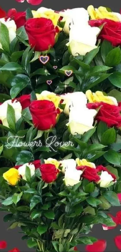 Beautiful bouquet of red, white, and yellow roses with hearts.