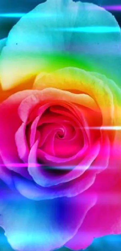 Rainbow-colored rose with a blue starry background.