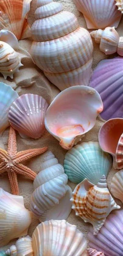 Colorful pastel seashells on beach sand.