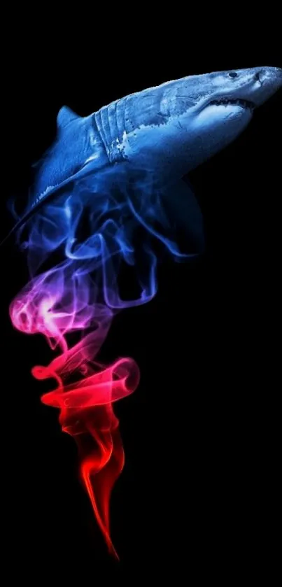 Colorful shark smoke art on a black background.