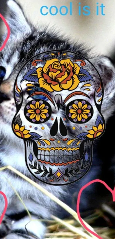 Vibrant skull art on cute kitten background wallpaper.