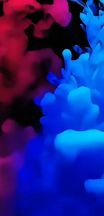 Colorful red and blue smoke on a black background.