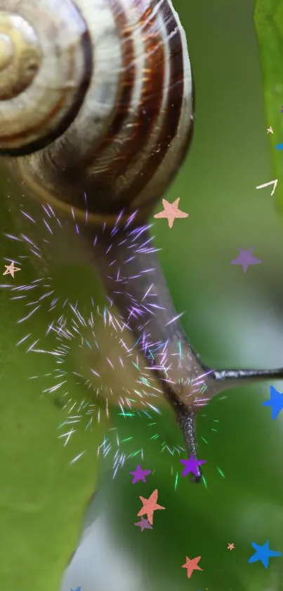 Colorful snail on a green leaf with vibrant star patterns.