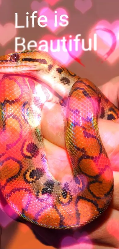 Colorful snake with heart lights and 'Life is Beautiful' text on wallpaper.