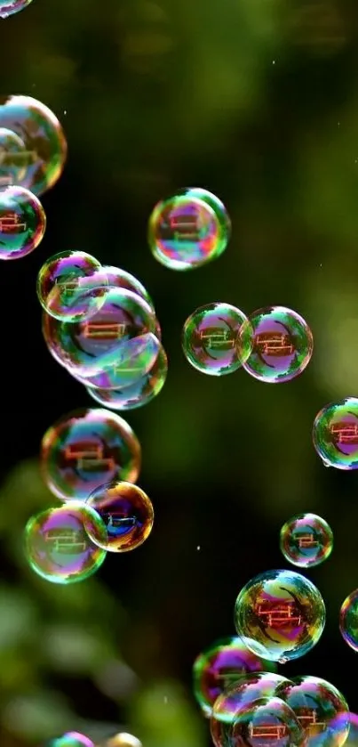 Colorful bubbles floating against a natural green background.