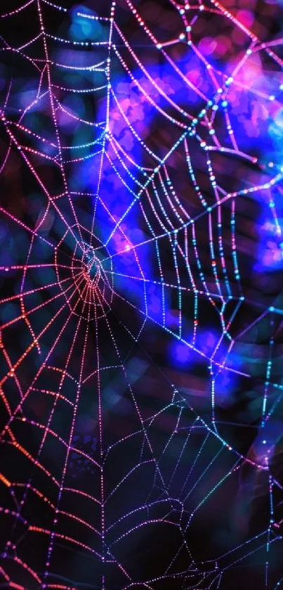 Vibrant spider web with colorful lights.