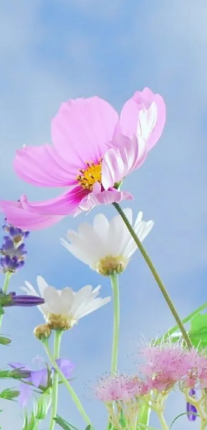 Vibrant flowers under a blue sky, featuring pink, white, and purple blooms.