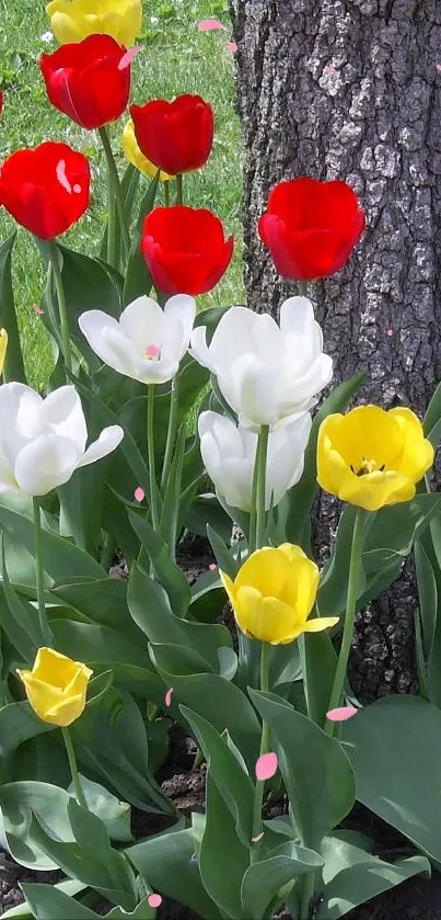 Vibrant tulips in red, yellow, and white against a lush green background.