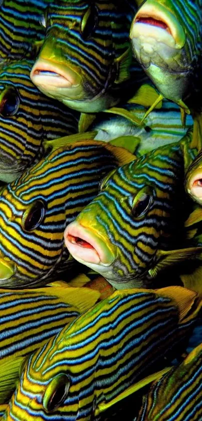 Vibrant striped fish underwater scene wallpaper.