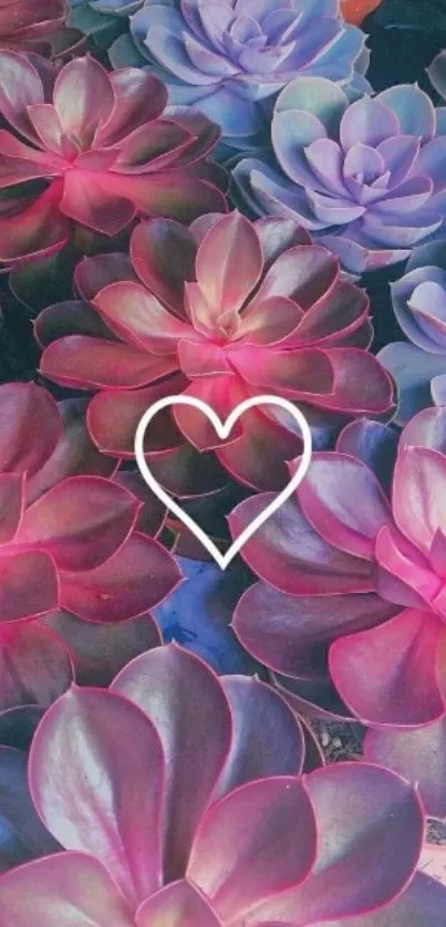 Colorful succulent wallpaper with heart design.